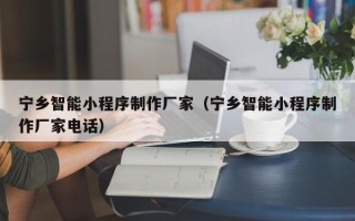 当阳宁乡智能小程序制作厂家（宁乡智能小程序制作厂家电话）
