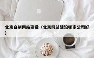 当阳北京自制网站建设（北京网站建设哪家公司好）